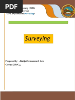 Surveying PDF