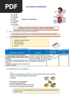 D3 A1 SESION CT. ¿Cómo Funciona Nuestro Sistema Digestivo