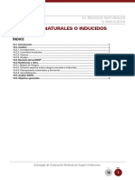 MonografiaII Riesgos PDF