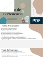 Proceso de Pertenencia