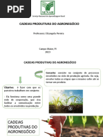 Aula SENAR - Cadeias Produtiva PDF