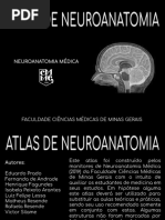 Atlas de Neuroanatomia - CMMG PDF