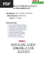 Ruta Del Acido Shikimico y Ruta Del Acido Acetato PDF