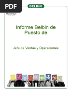 Informe - Belbin de Puesto Jefe de Ventas