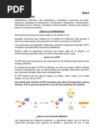 Tema 4 Introduccion A La Biología