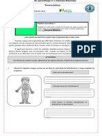 Guia 1 de Ciencias Naturales