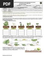 Guia 4 Taller Reproduccion en Plantas PDF