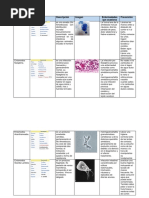 Ficha Tecnica Parasitos PDF