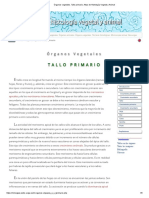 Órganos Vegetales. Tallo Primario. Atlas de Histología Vegetal y Animal 5