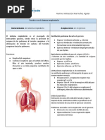 Cambios en El Sistema Respiratorio