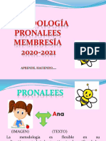 Taller Pronalees