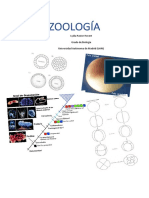 Zoología 2º Parcial