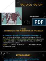 Pectoral Region KJR (1) - 2