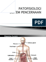 Fisiologi Sistem Pencernaan