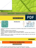 Sistema Endocrino