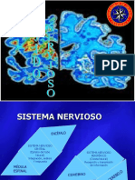 8vo TEMA. Sistema Nervioso