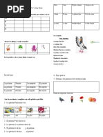 Prueba M, L, P, S