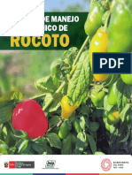 Yapo Pacheco 2023 Manual Rocoto