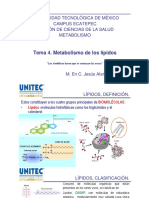 Tema 4 Metabolismo de Lipidos