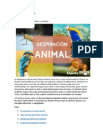 Tipos de Respiración Animal