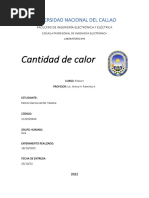 Cantidad de Calor PDF