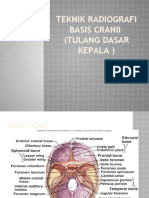 TR Basis Cranii