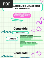 Vías Metabolicas Del Metabolismo Del Nitrogeno