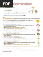 Clave Dicotómica y Macroscópica 100 Setas