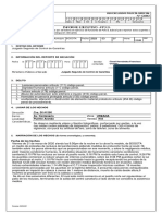 FPJ-03 Informe Ejecutivo (3) - 1