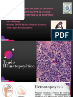 10 Tejido Hematopoyetico T10 PDF