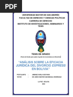 Análisis Sobre La Eficacia Jurídica Del Divorcio Express en Bolivia