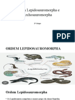 Ordem Lepidosauromorpha e Archosauromorpha