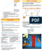 Apuntes 2° Bioquímica