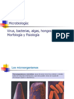 21 Microbiología 1