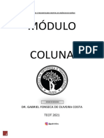 Coluna TEOT 2021 - Resumo Do Moquinha PDF