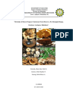 Diversity of Macrofungi On Mt. Kitanglad Range