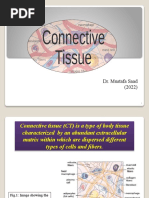 03 Connective Tissue