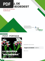 Manual de Canva Illustrator - Vfinal PDF