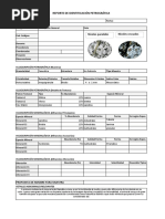 Formato Reporte Rocas Igneas 1.7 y 1.8