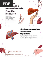 Enzimas Hepáticas y Marcadores de Función Hepática