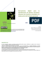 Clave Identificaciã N PDF