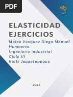 Elasticidad Ejercicios PDF