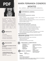 CV, Fernanda Cisneros PDF