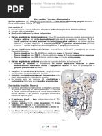 Inervacion Visceras Abdominales - Compress