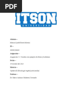 Asignación 11. Cosecha Con Ejemplos de Frutas y Hortalizas PDF