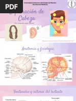 Exploración Física Cabeza Jmpe5c