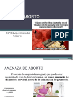 Tipos de Aborto