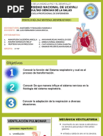 Fisiologia Del Sistema Respiratorio - G6-B-1