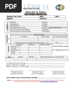 Informe Mensual Lider Juvenil