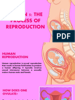 Process of Reproduction